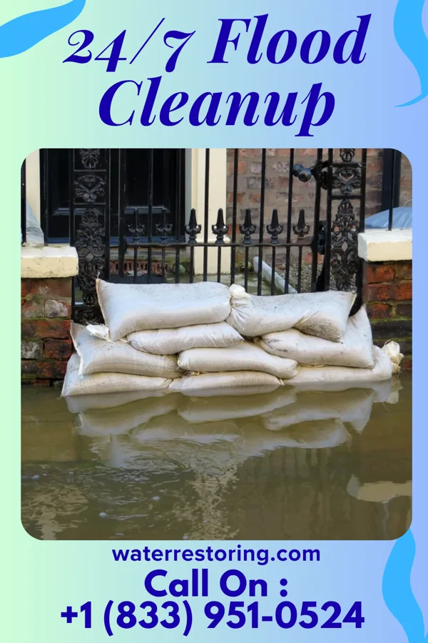 24/7 Flood Cleanup in Leisure Knoll, NJ