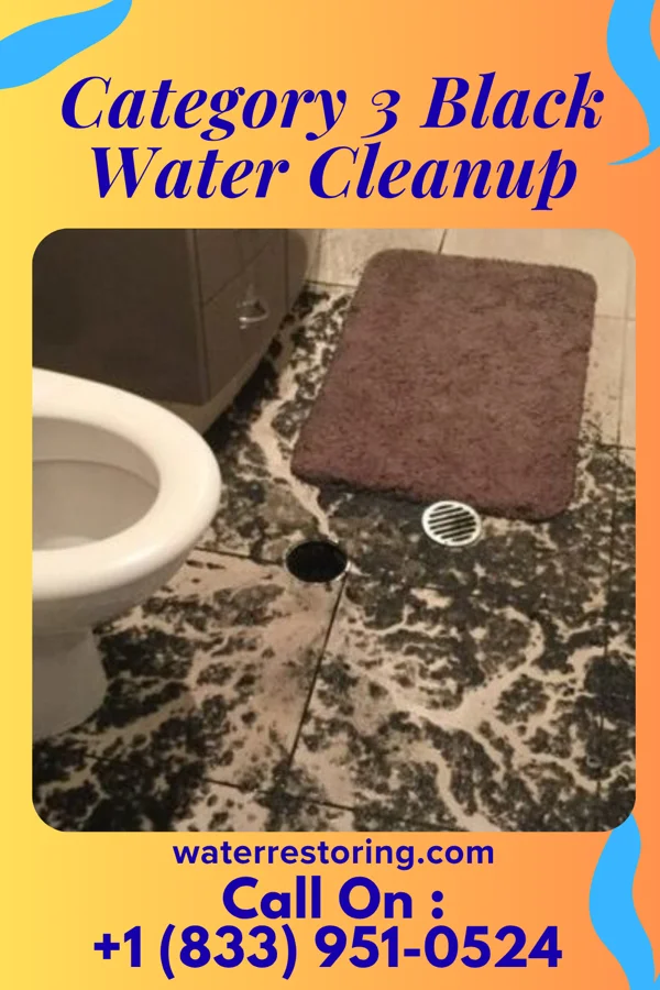 Category 3 Black Water Cleanup in Leisure Knoll, NJ