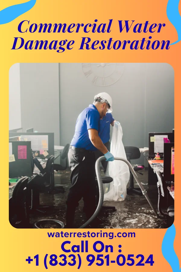 Commercial Water Damage Restoration in Leisure Knoll, NJ