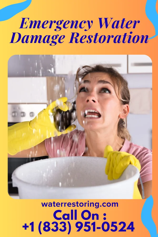 Emergency Water Damage Restoration in Leisure Knoll, NJ