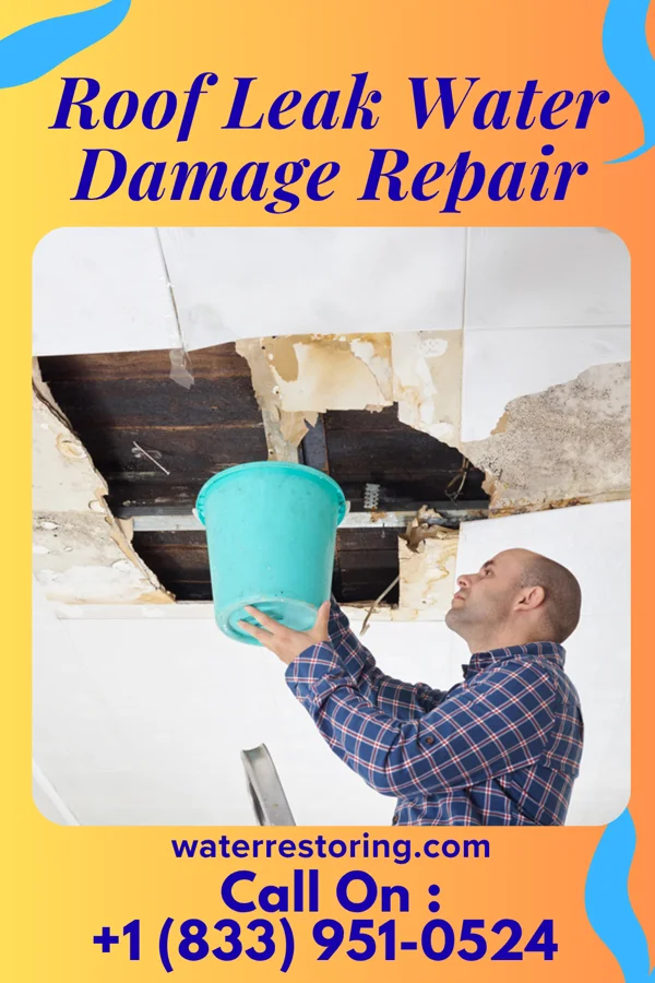 Roof Leak Water Damage Repair in Leisure Knoll, NJ