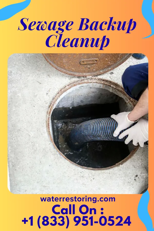 Sewage Backup Cleanup in Leisure Knoll, NJ